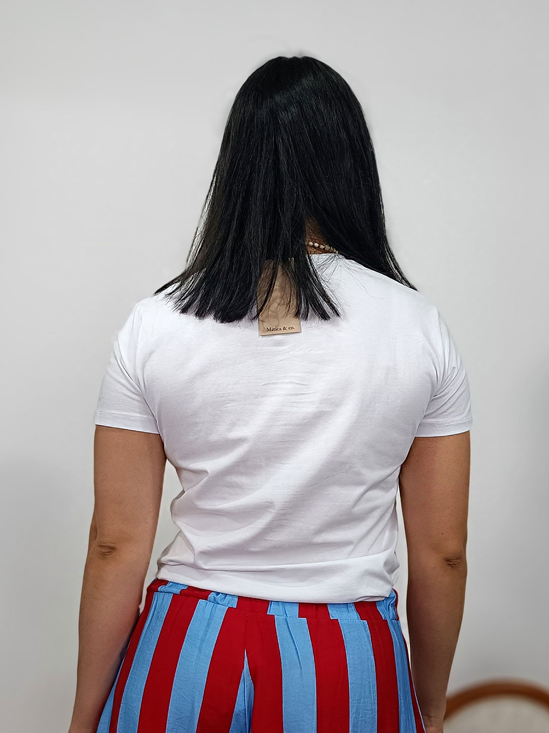 camiseta de perro salchicha con pantalón de rayas rojas y azules